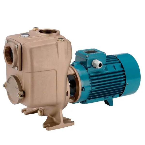 Bomba Autocebante A 65-150C-60/B - Imagen 2